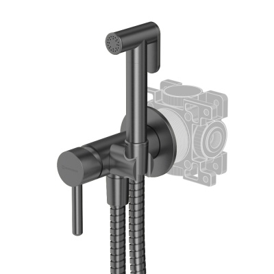 Система для биде скрытого монтажа WHITECROSS Y SYSYBI2GM (оружейная сталь)