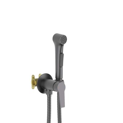 AQ1719BGM ЛУГАНО комплект для гигиенического душа встроенный (смеситель + гигиеническая лейка + шланг), оружейная сталь