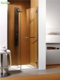Душевые дверки Carena DWJ 120