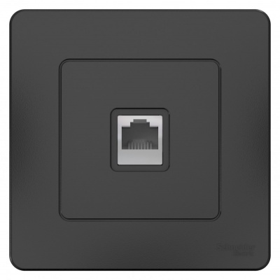 SE Blanca внутр Антрацит Розетка компьютерная RJ45